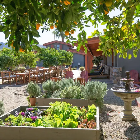 Sparrows Lodge-3
